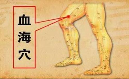 脾为气血生化之源!常按揉脾经十要穴,少生病、精神足、人欢喜