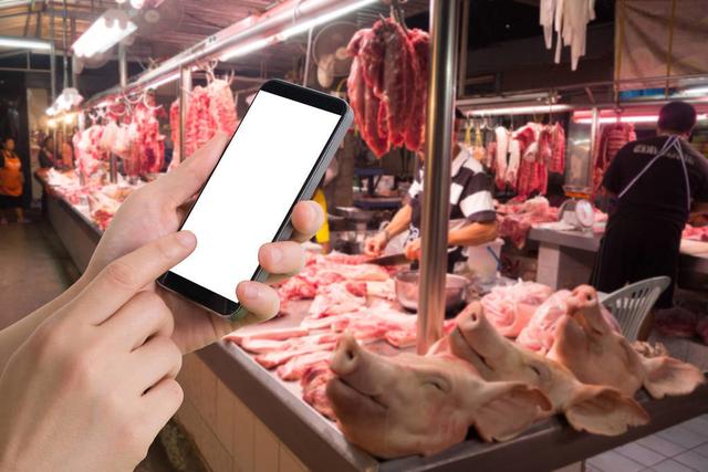 现在猪肉价格多少钱一斤？2020.2.12各地猪肉价格行情一览
