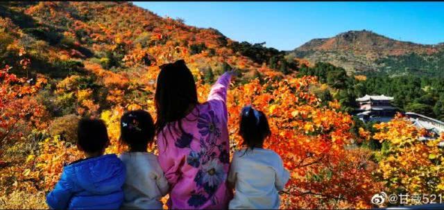 甘薇离婚索赔40亿,董璇李小璐都以离婚收场,原因各异让人唏嘘