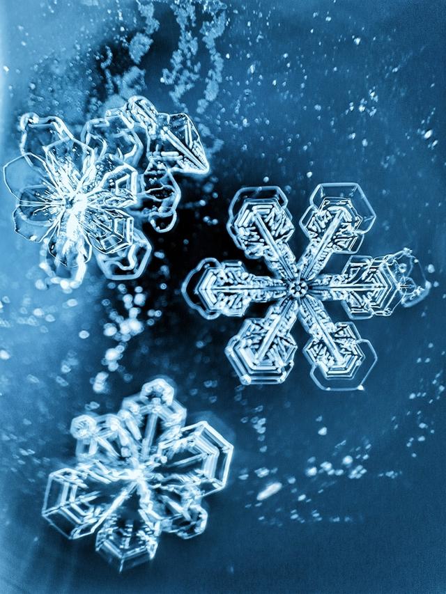 北京今天又下雪了,他拿起相机拍下震撼内心的“雪花”写真