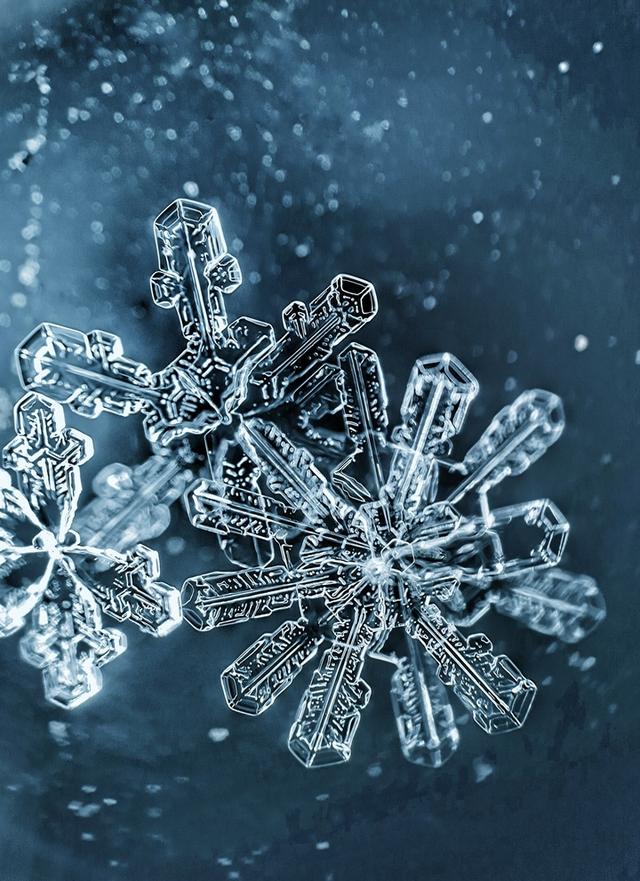 北京今天又下雪了,他拿起相机拍下震撼内心的“雪花”写真