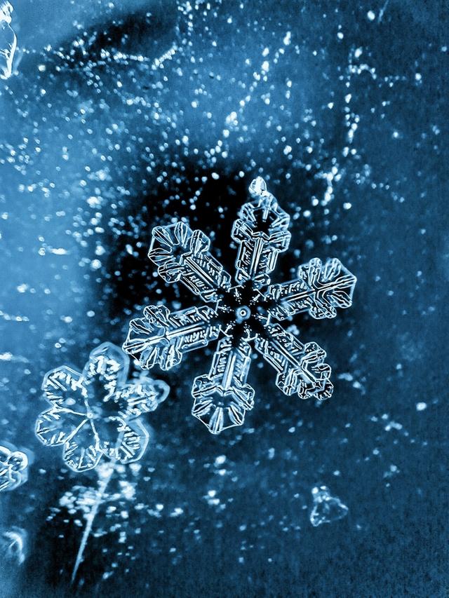 北京今天又下雪了,他拿起相机拍下震撼内心的“雪花”写真