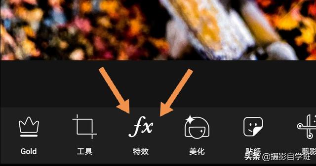 同样的花草树木,为啥人家拍得好看?这些摄影和修技巧很关键