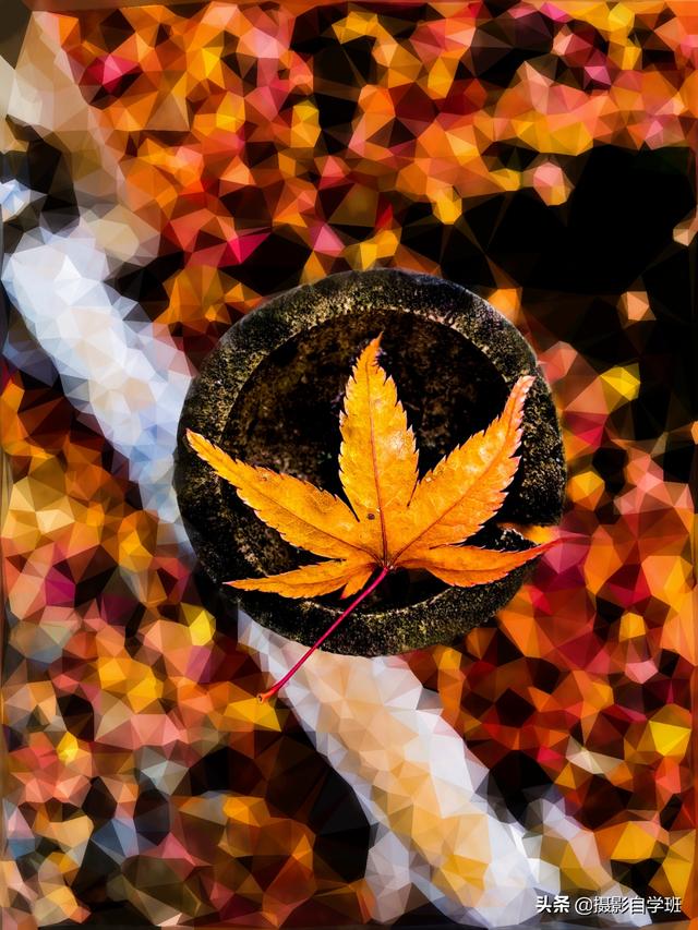 同样的花草树木,为啥人家拍得好看?这些摄影和修技巧很关键