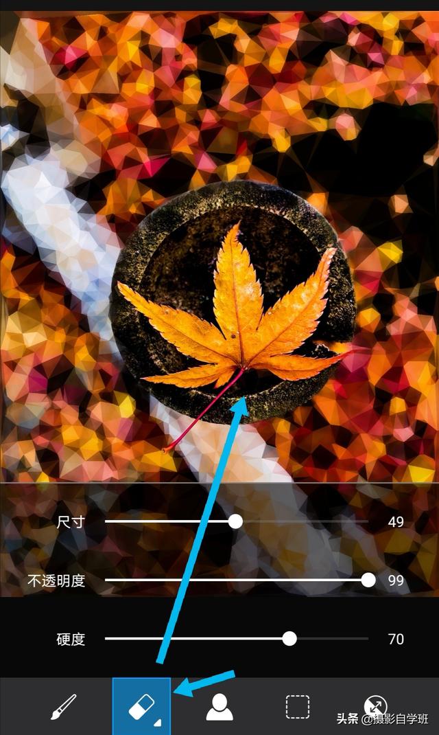 同样的花草树木,为啥人家拍得好看?这些摄影和修技巧很关键
