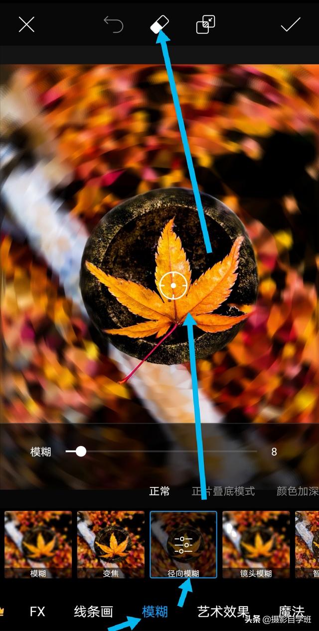 同样的花草树木,为啥人家拍得好看?这些摄影和修技巧很关键