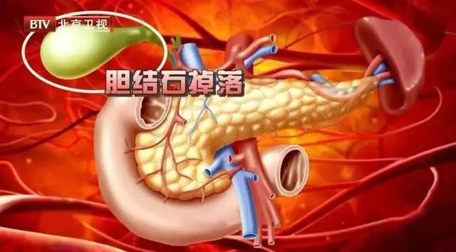 从早上起床到夜晚休息,这几个常见习惯,伤脏器!你中招了吗?