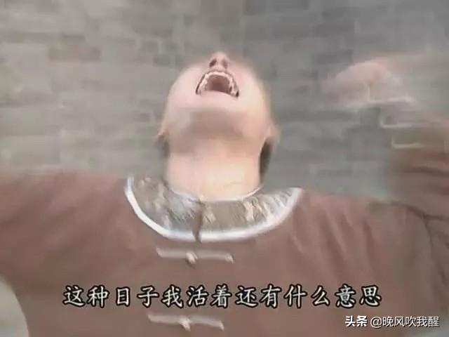 笑到头掉,今年还珠格格怎么不重播了?