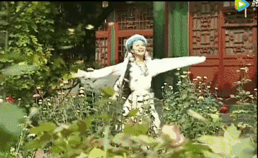 笑到头掉,今年还珠格格怎么不重播了?