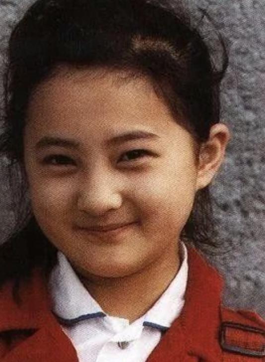 被琼瑶捧红的“婉君”,撒贝宁暗恋了20年,如今依旧单身一人