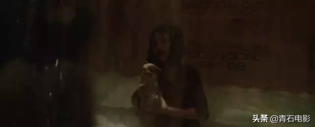波澜壮阔的特效大片!全球票房年度第五,引进内地后席卷院线
