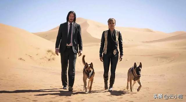 2019年10部上映电影,挺好看的