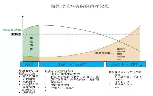 慢性肾脏病治疗最不可忽视的是大局观和辩证观