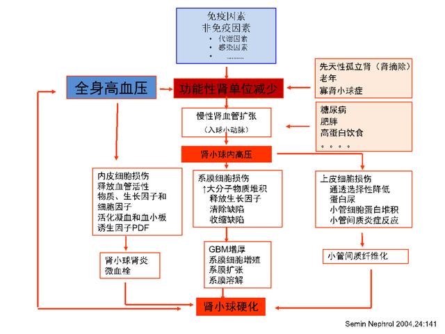 慢性肾脏病治疗最不可忽视的是大局观和辩证观