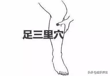 养脾胃就是养命,养好脾胃不生病!