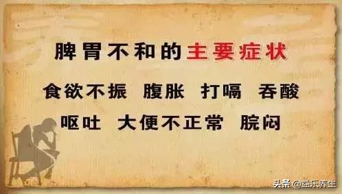 养脾胃就是养命,养好脾胃不生病!