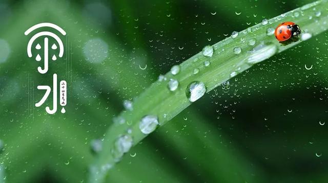 雨水养生吃三样，喝三茶，记两早，全年没“三高”