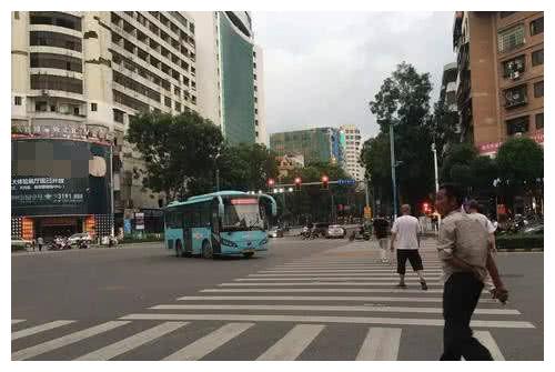 “礼让行人”即将取消？专家提出建议，车主：早这样多好啊