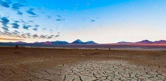 地球上最干旱的地方，出现了绿色生机，科学家为什么却感到担忧？