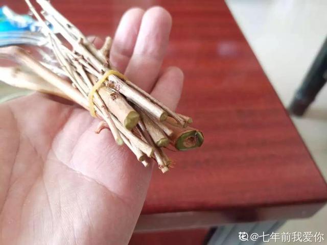 2月养花真忙,宅家里也不能闲,动动手就有收获