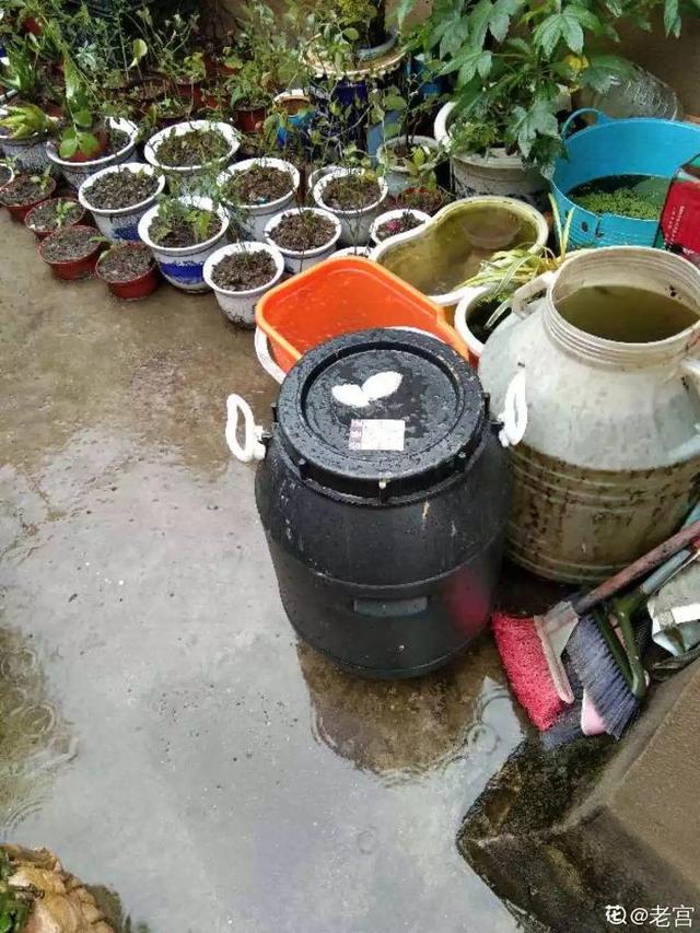 2月养花真忙,宅家里也不能闲,动动手就有收获