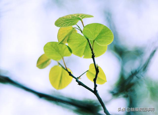 要摄影水平不断提高，这6种提高方法，你会坚持下去吗？