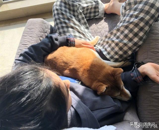 张子枫疫情期间晒新图,宅在家抱着小锅晒太阳,睡裤引起网友关注