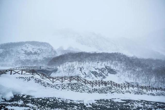 为了雪，去一次东北也值得