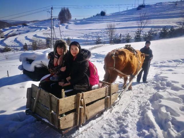 为了雪，去一次东北也值得