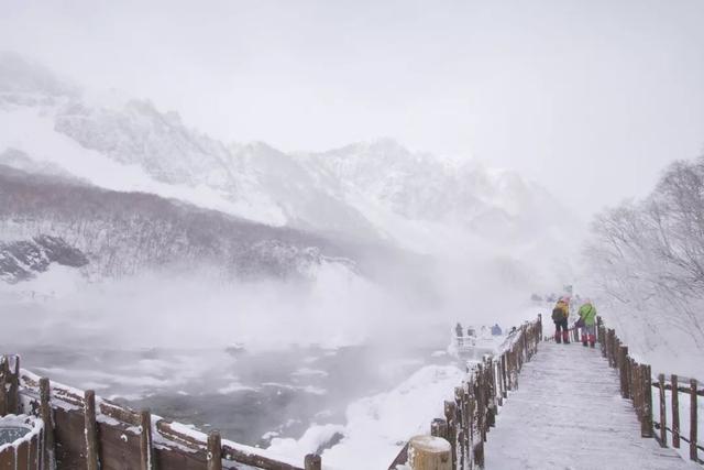 为了雪，去一次东北也值得