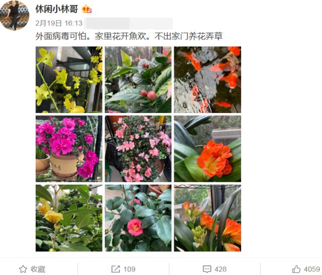 知名大V爆料杨幂感情绯闻,还在评论区透露男方身份