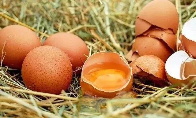 食物烂了一点,还能不能吃?这4类真不能吃,伤肝又伤肾!