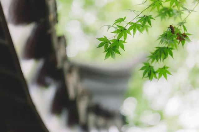 春天这3个月,是一年里最好排毒季!把积累一冬的浊气毒素排掉