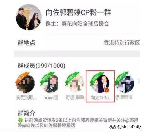 豪门难进?向佐自爆至今没和郭碧婷领证,甜蜜互动被质疑在作秀