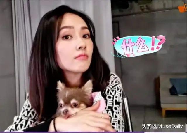 豪门难进?向佐自爆至今没和郭碧婷领证,甜蜜互动被质疑在作秀