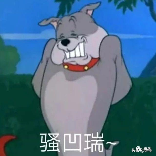 黄轩油成教主2.0,陈数等老戏骨做配也救不了佟丽娅?
