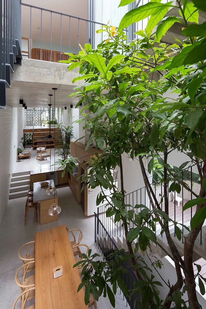 越南三世同堂住4米宽的超窄房型 室内还能做庭院