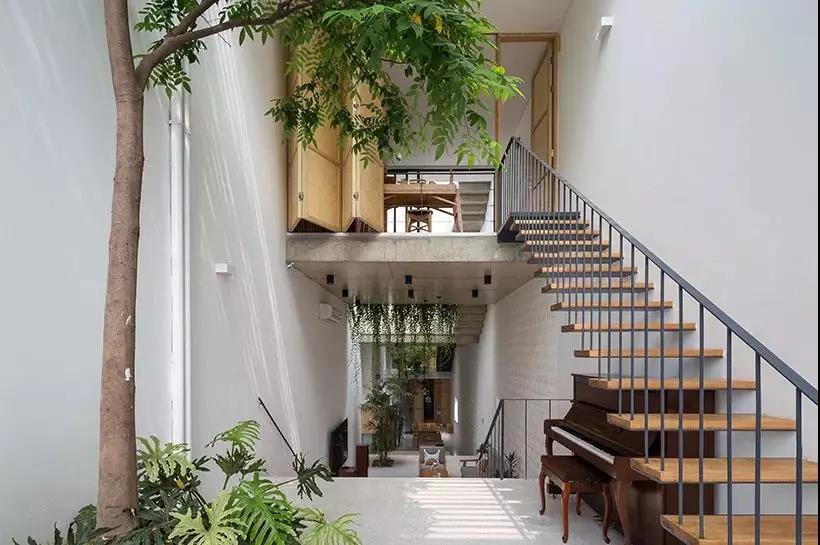 越南三世同堂住4米宽的超窄房型 室内还能做庭院