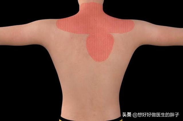 胆囊和胃疼如何区分?医生教您一个小查体,初判胆囊是否有问题
