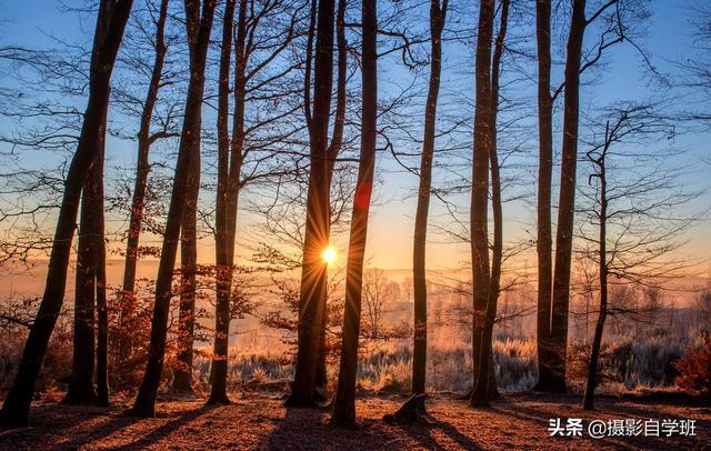 照片想有艺术感该咋拍摄？4句口诀含6个摄影技巧，你学会了吗