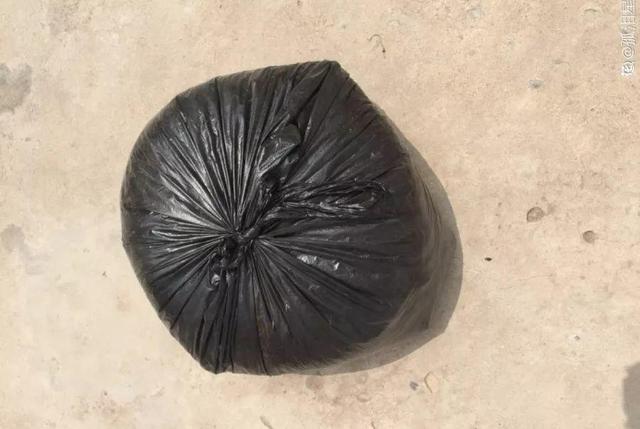6个养花实用小窍门,业余爱好者的秘籍,养好花并不难