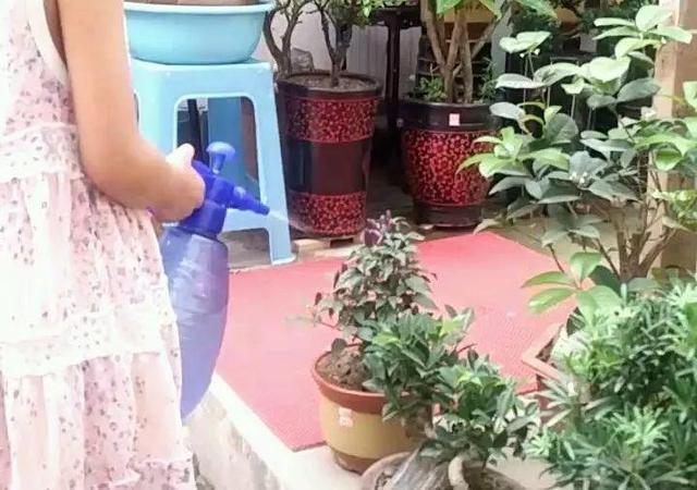 6个养花实用小窍门,业余爱好者的秘籍,养好花并不难