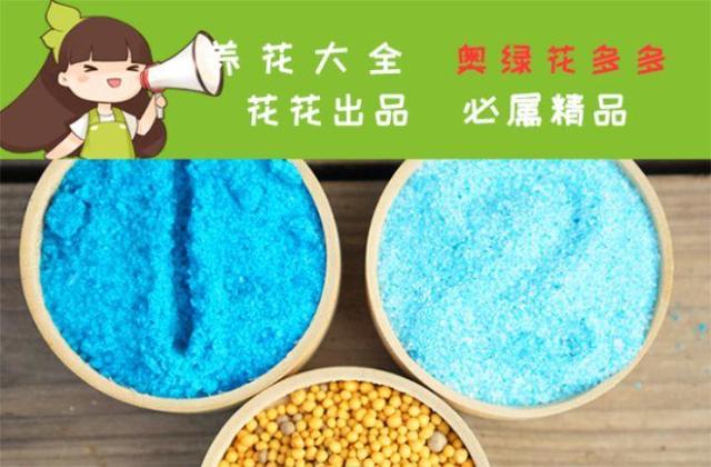 6个养花实用小窍门,业余爱好者的秘籍,养好花并不难