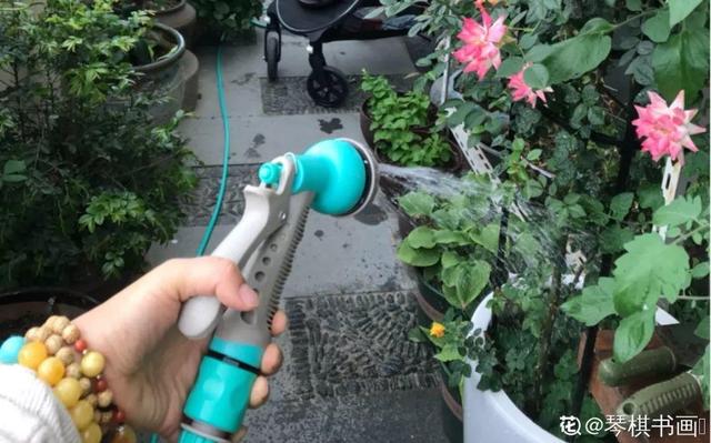6个养花实用小窍门,业余爱好者的秘籍,养好花并不难