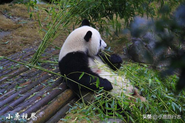 情侣第一次旅游必去!中国这5个低预算城市,太适合谈恋爱