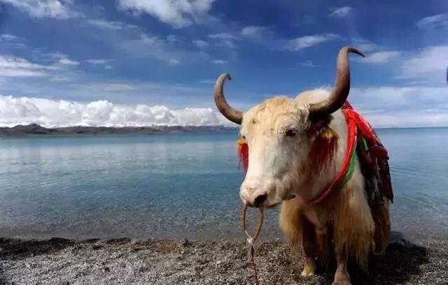 中国的10大世界之最,每一个都值得一去