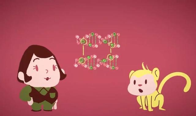 别给病毒买彩票的机会——病毒是如何从动物传给人的?