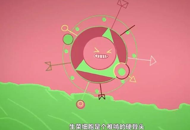 别给病毒买彩票的机会——病毒是如何从动物传给人的?