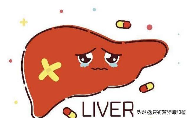 肝脏是人体的重要器官,养肝的最好方式是什么?