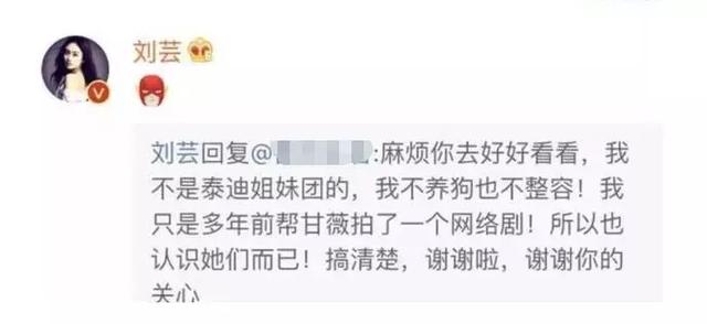 泰迪姐妹团:刘芸篇